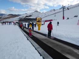 Coronet Peak Carpet 2