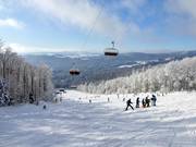 View from Almberg over the Bavarian Forest