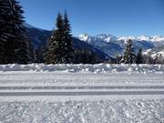 Panorama cross-country trail at Kristberg