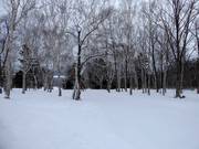 Very easy forest runs at the four-seater chairlift High Speed Lift 1