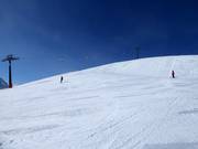 Wide slope No. 3 Wilder Mann