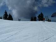 Groomed slope at Mount Seymour