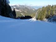 Slope No. 11 to Záhradky