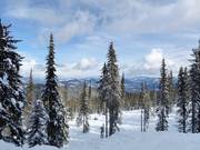 The SilverStar ski resort is supplied with plenty of natural snow.