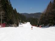 Ski run 6 Ski road Pamporovo (Tourist)