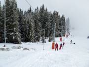 Kosodrevina-Lúčka - J-bar