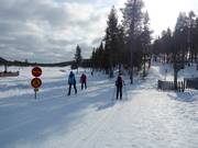 Cross-country ski trails in Levi