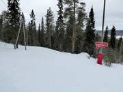 Very easy tow path in the Ounasvaara ski area