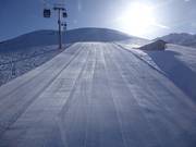 Anticipation in the morning