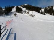 Practice slope at the Lilleputt platter lift