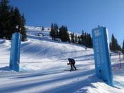Skimovie: Giant Slalom course