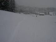 Fresh new snow in Beuerberg