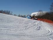 Slope with a view of the Allianz Arena