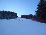 Olympic Slope Willy Favre (Les Diablerets)