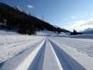 Cross-country skiing Eastern Switzerland – Cross-country skiing Zuoz – Pizzet/Albanas