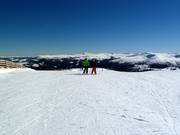 Start of the slopes at Aineck