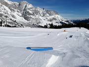 Blue Tomato Kings Park