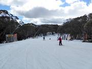 Easy slope Wombats Ramble