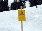 Intersections are marked