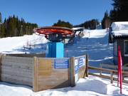 Skogheisen (F) - T-bar