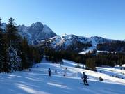 View of the Zwieselalm and the Donnerkogel
