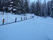 Conveyor belt in Galstiland