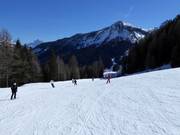 Easy slope Rientro in Arabba