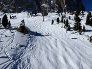 Mogul slope at Sotsalong