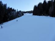 Difficult slope Fiamme Oro I