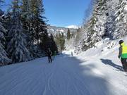 Valley run to Schruns