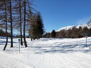 Cross-country ski trail Golf in Crans