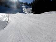 Great slope grooming at Gummenalp