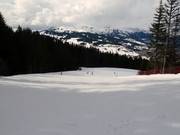 Prapacot downhill run