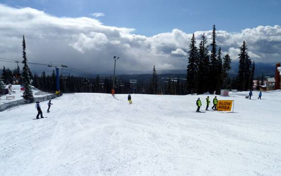 Ski resorts for beginners in the Kootenay Boundary Regional District – Beginners Big White