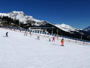 Sunny Mountain Adventure Park