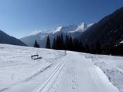 Trail in the Seebachtal