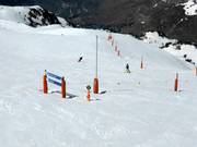 Green in the valley – perfect conditions on the mountain