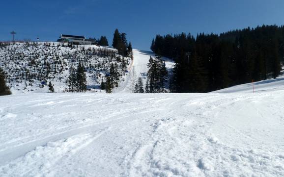 Alpsee Grünten: Test reports from ski resorts – Test report Ofterschwang/Gunzesried – Ofterschwanger Horn