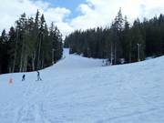 Easy slope Windjammer