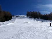 Black slope Grünboden