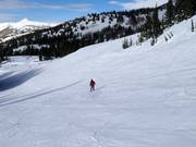 Very good slope grooming in Brighton
