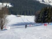 Schwinbach Run FIS