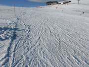 Very good slope conditions on the Kleinen Belchen slope