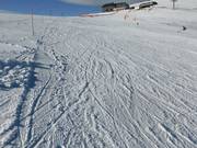 Very good slope conditions on the Kleine Belchenabfahrt run