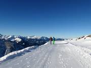 Winter high-altitude panoramic trail at the Höfatsblick station