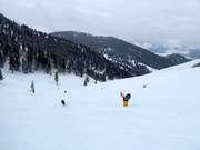 Runs in the Sun Bowl