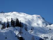 Wonderful deep-snow slopes at Lawinenstein