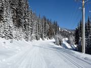 Cross-country trails at SilverStar Mountain Resort