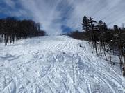 Deep Snow Slope Kolašin 1450