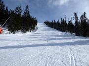 Difficult slope Komenten in Tandådalen